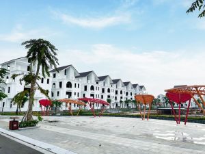 hình ảnh thực tế khu đô thị mạnh đức victory từ sơn bắc ninh 4