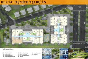 Bố trí tiện ích chung cư sky central Định Công Hoàng Mai